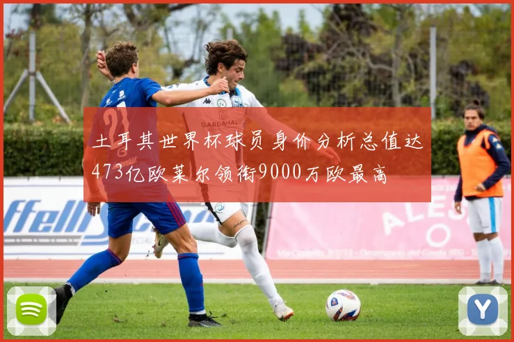 土耳其世界杯球员身价分析总值达473亿欧莱尔领衔9000万欧最高