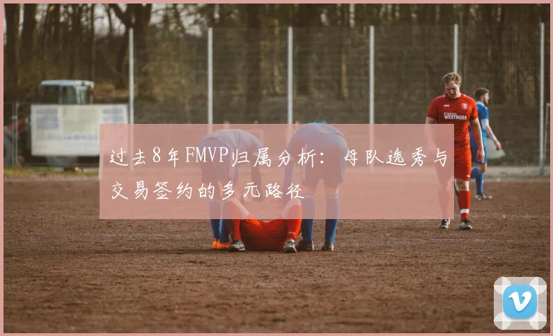 过去8年FMVP归属分析：母队选秀与交易签约的多元路径